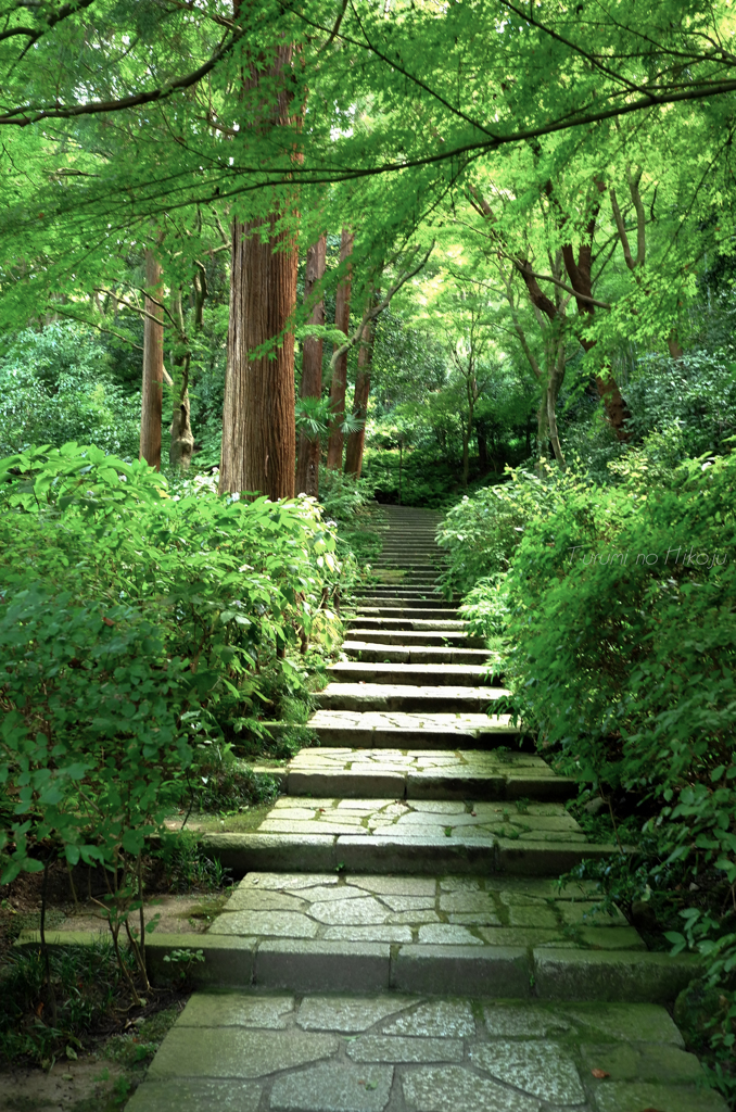 瑞泉寺への路