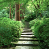 瑞泉寺への路