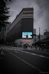 Hibiya Walk 2025