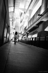 street