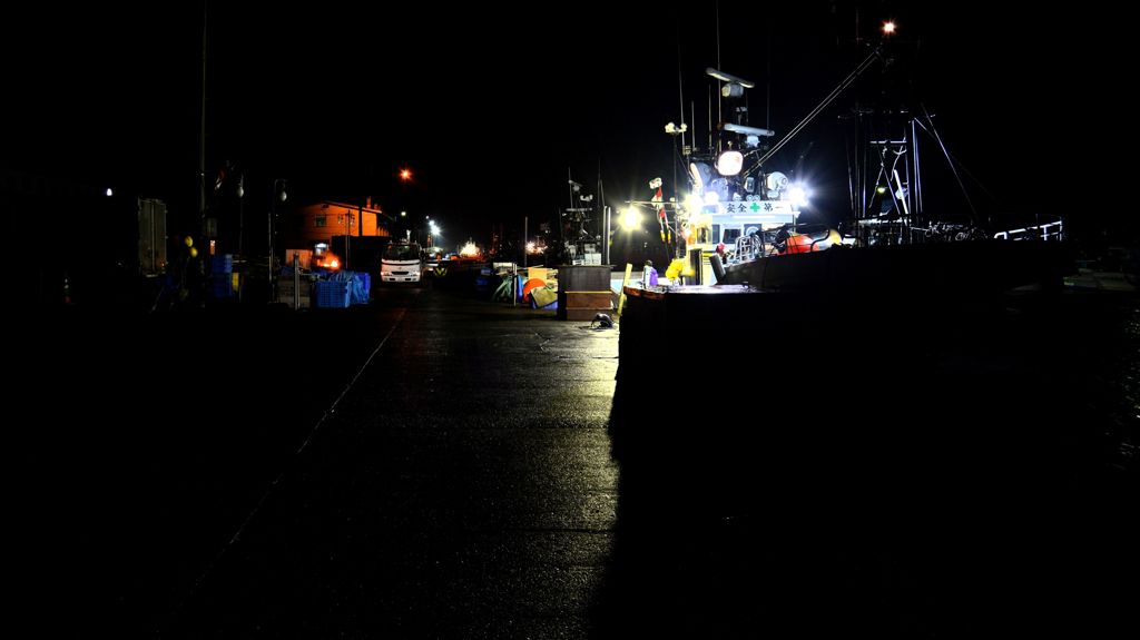 夜景　苫小牧漁港