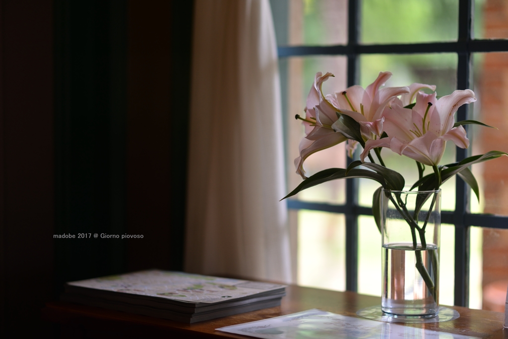 Lily