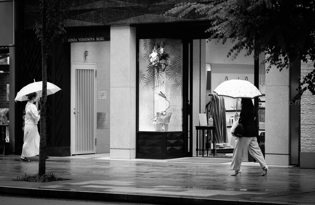 雨音のリズムで歩けば