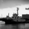 好きだった yokohama-area