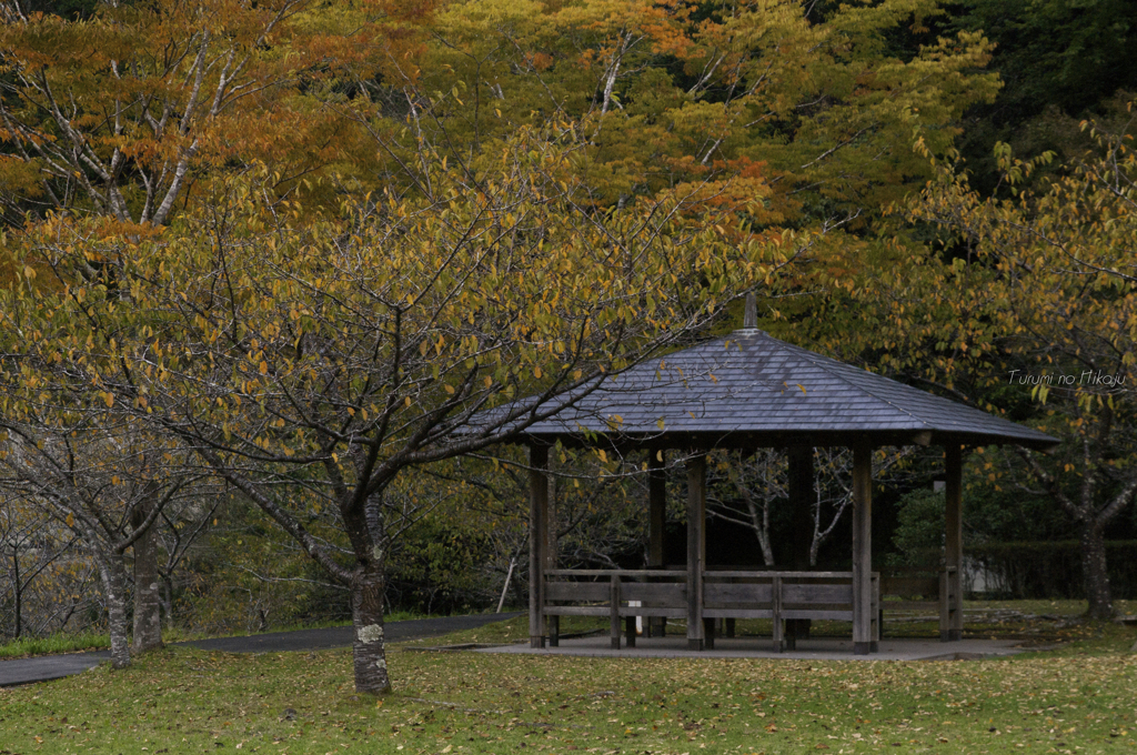 Autumn Reservoir