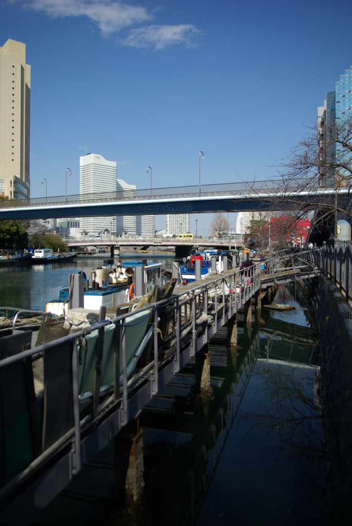 大岡川慕情