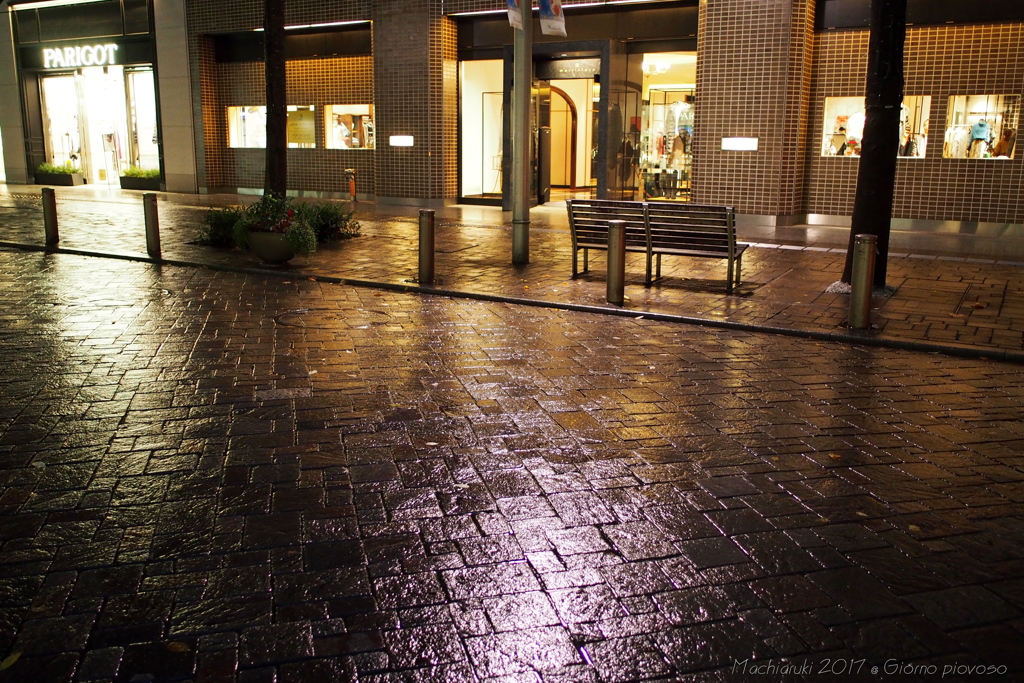 雨の日は雨の日で・・・