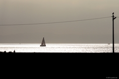 光る海に浮かぶ帆