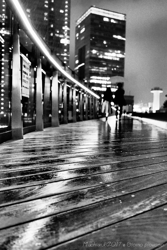 Misty rain Tokyo sta.