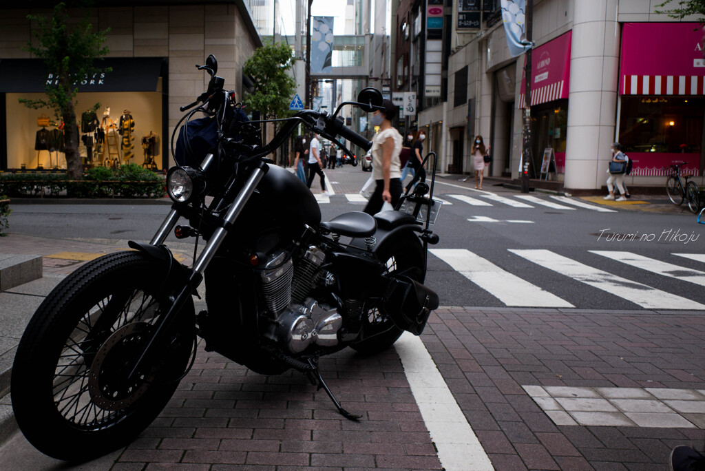 ELMARIT-M 24mm F/2.8