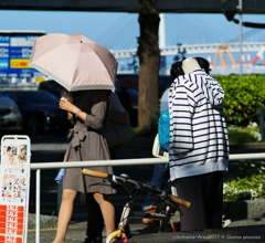 港に日傘が似合う日