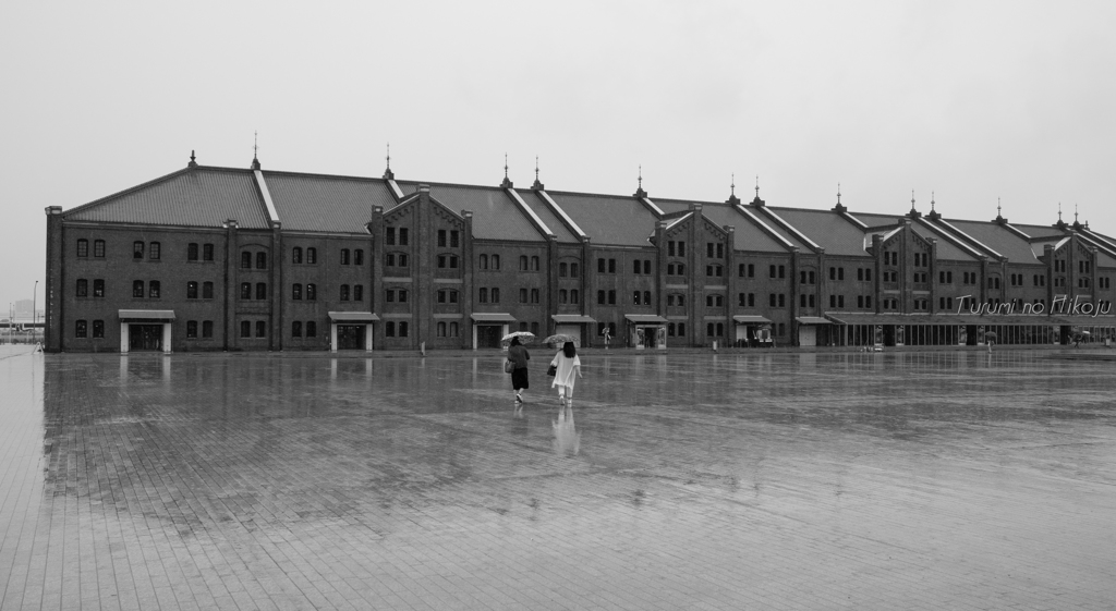 雨の広場