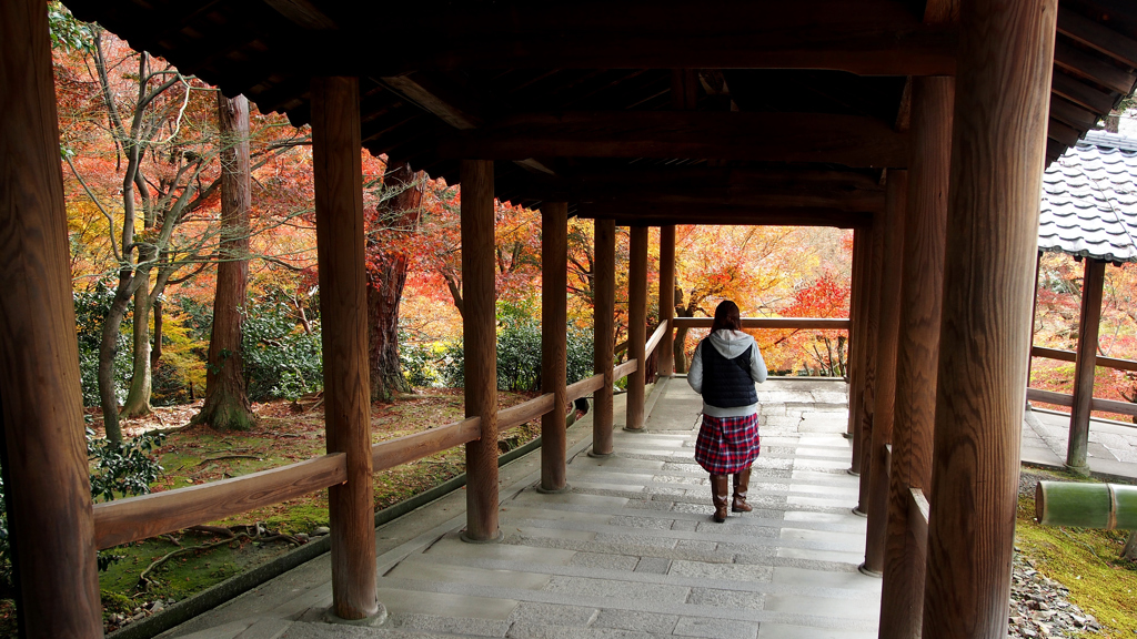 秋色　東福寺