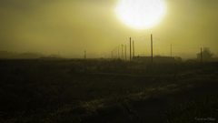 Country field