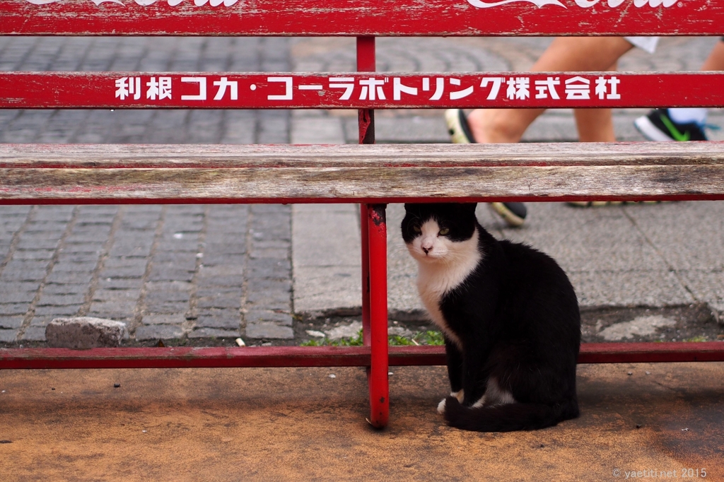 突然の雨に・・・