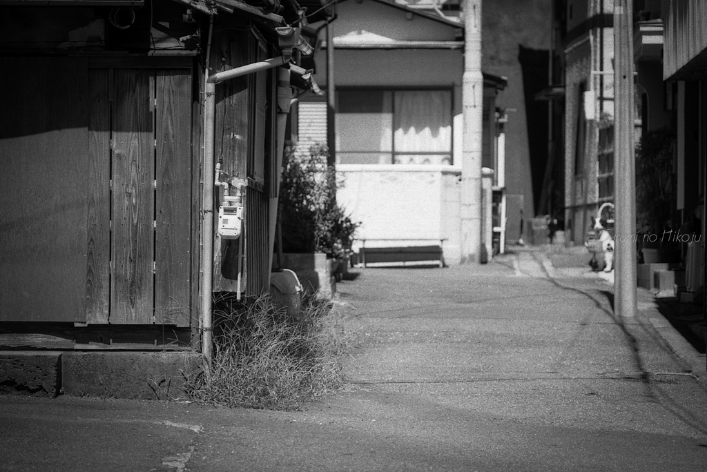 港町　路地を歩けば