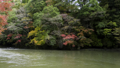 Autumn Reservoir