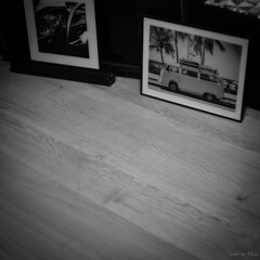 飾った写真はすでにsummer
