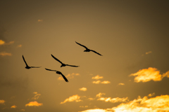 旅路の空