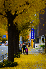 目に入った？・・・