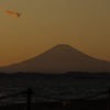 冬の浜辺は淋しくて・・・