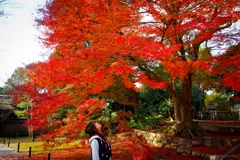 2015の京都です・・・