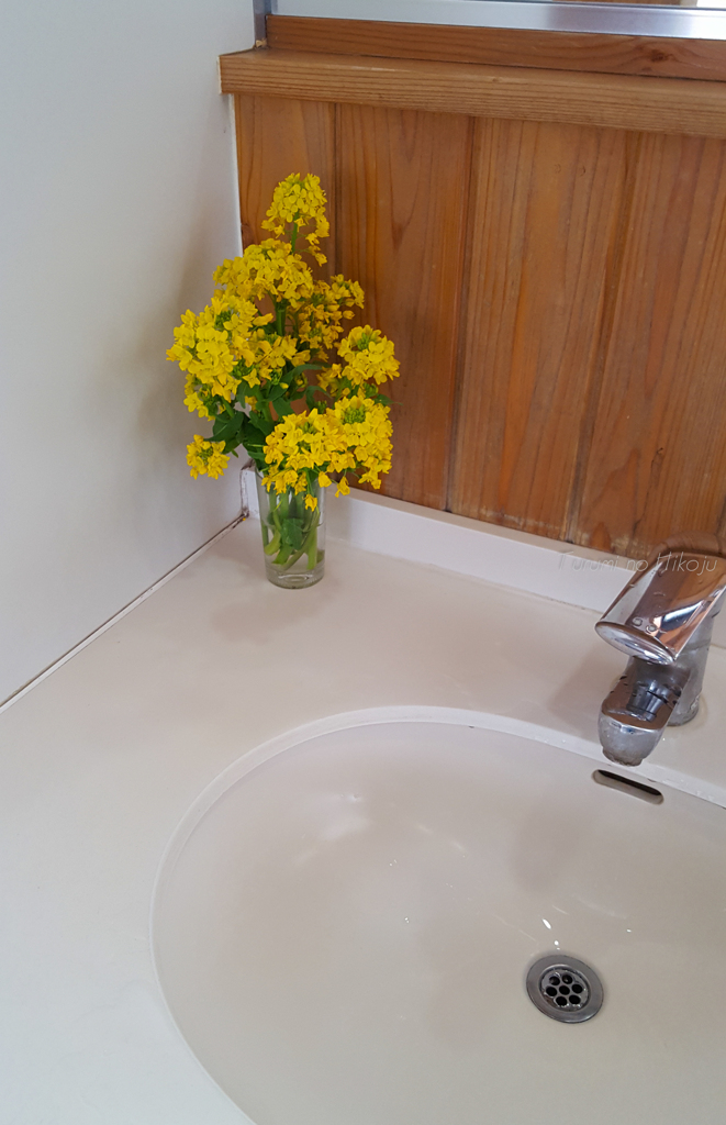 久留里駅のトイレに春が来た！