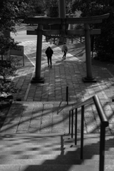 小春日和に誘われて