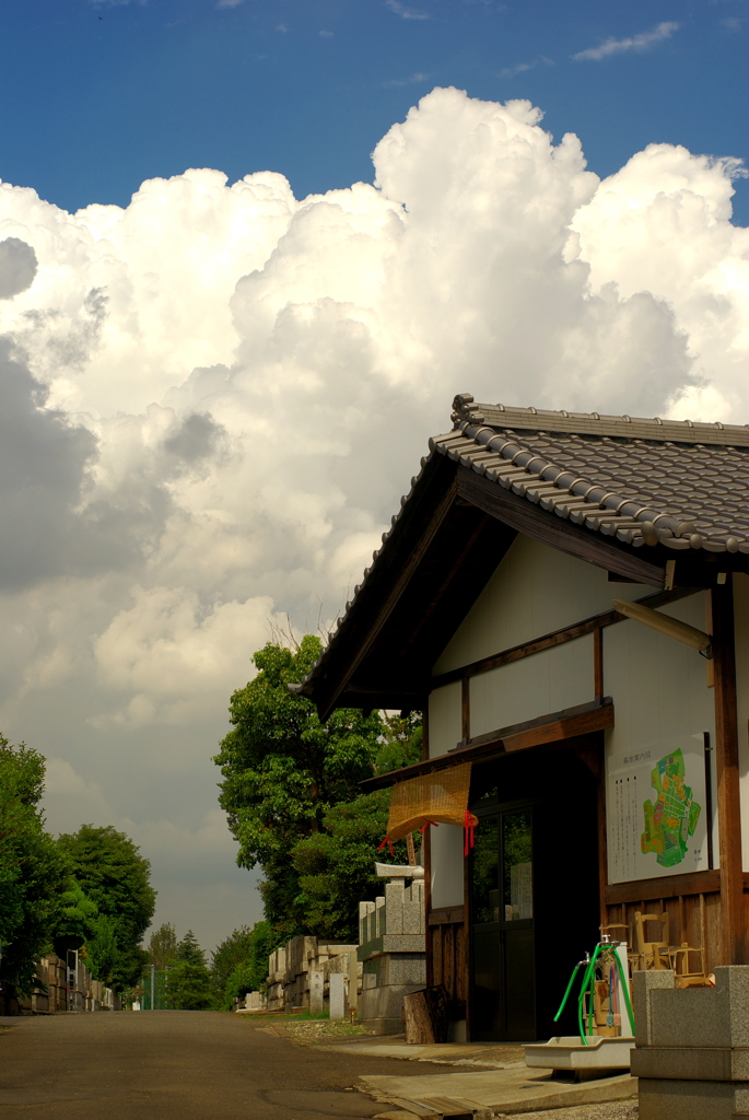 總持寺　夏模様