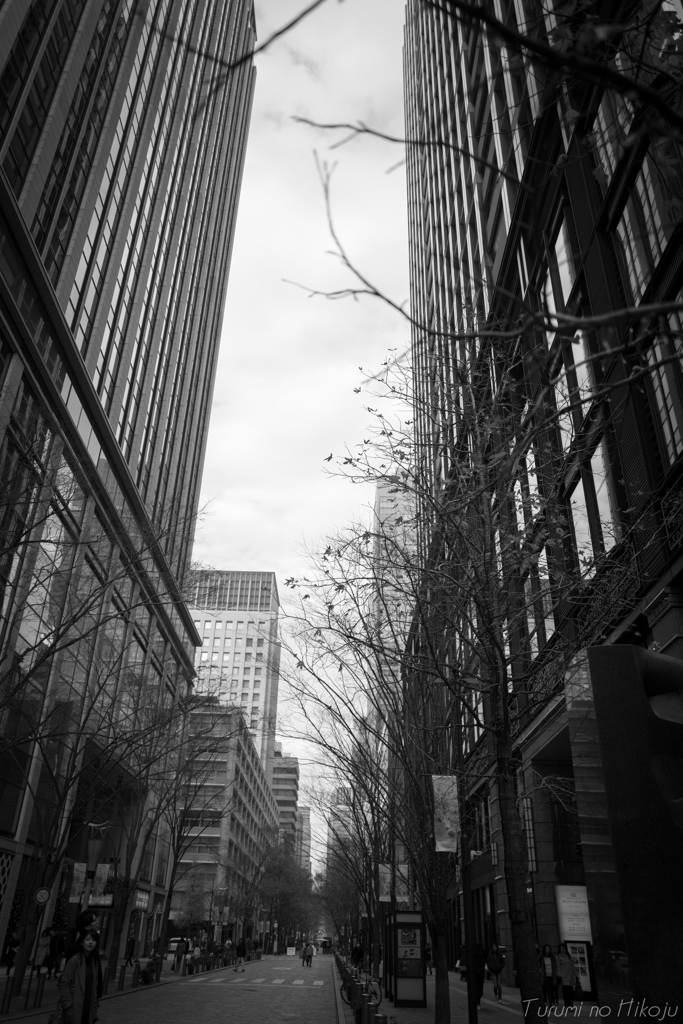 Street scene 2017