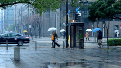 霧雨に煙る土曜の午後は・・・