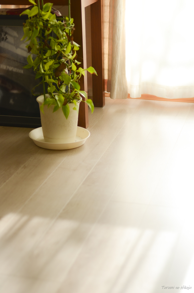 もう少し頑張れるかな？・・・