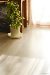 もう少し頑張れるかな？・・・