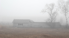 朝霧の情景