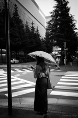 日傘の季節