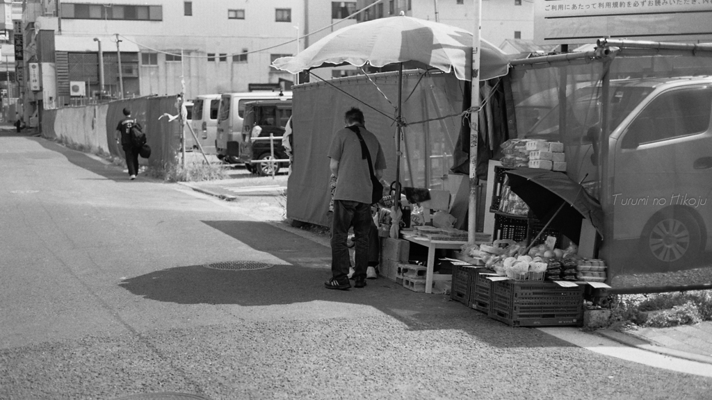 日差しを避けて