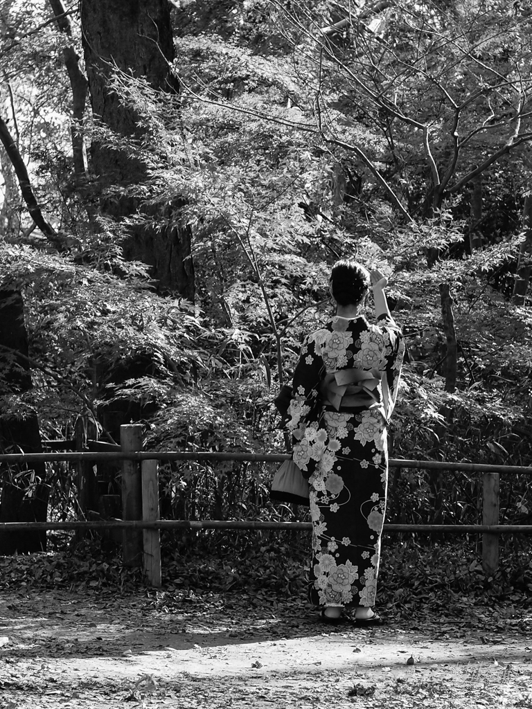 紅葉を愛でる