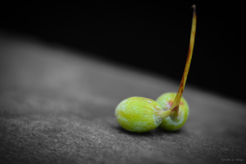 離れたくない二人