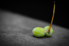 離れたくない二人