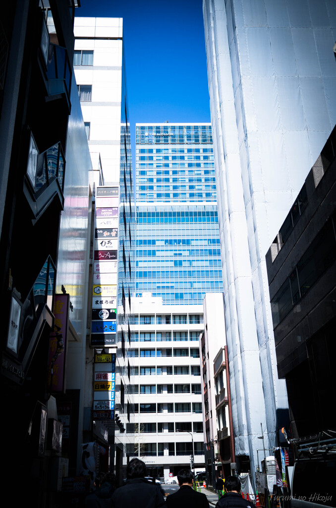 光と影の街