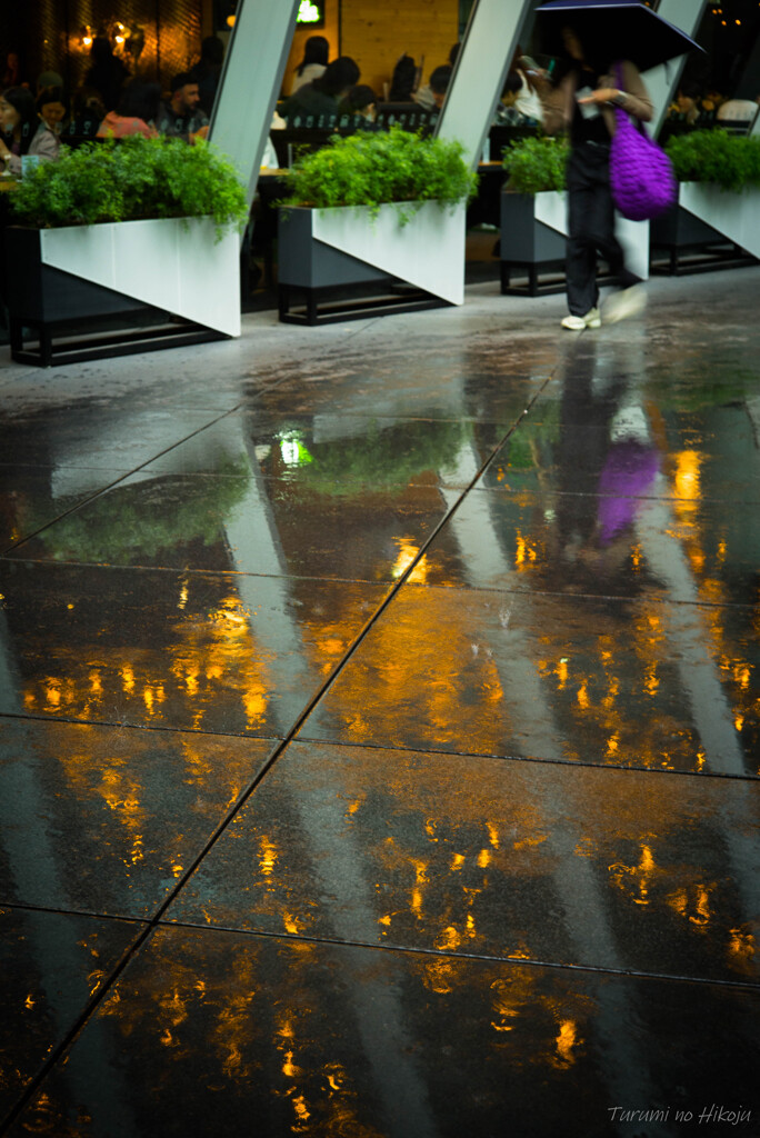Rainy Season
