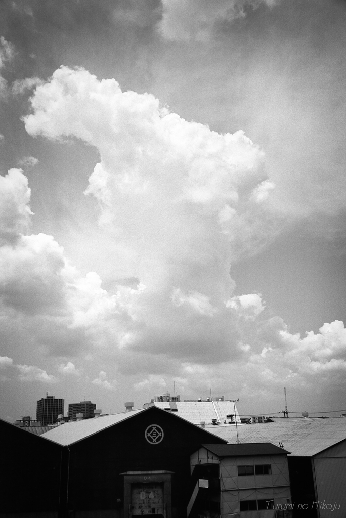 yokohama monochrome