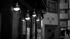 路地裏の蛍