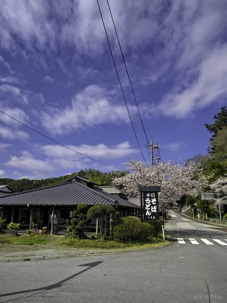 坂道と桜と手打ち蕎麦