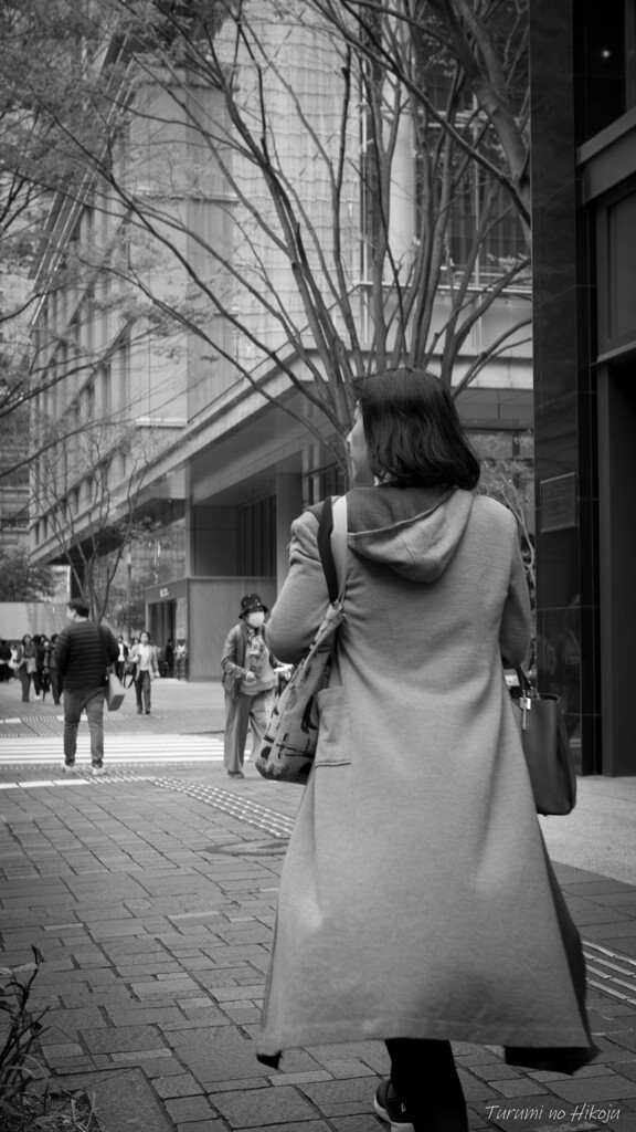 春のそよ風