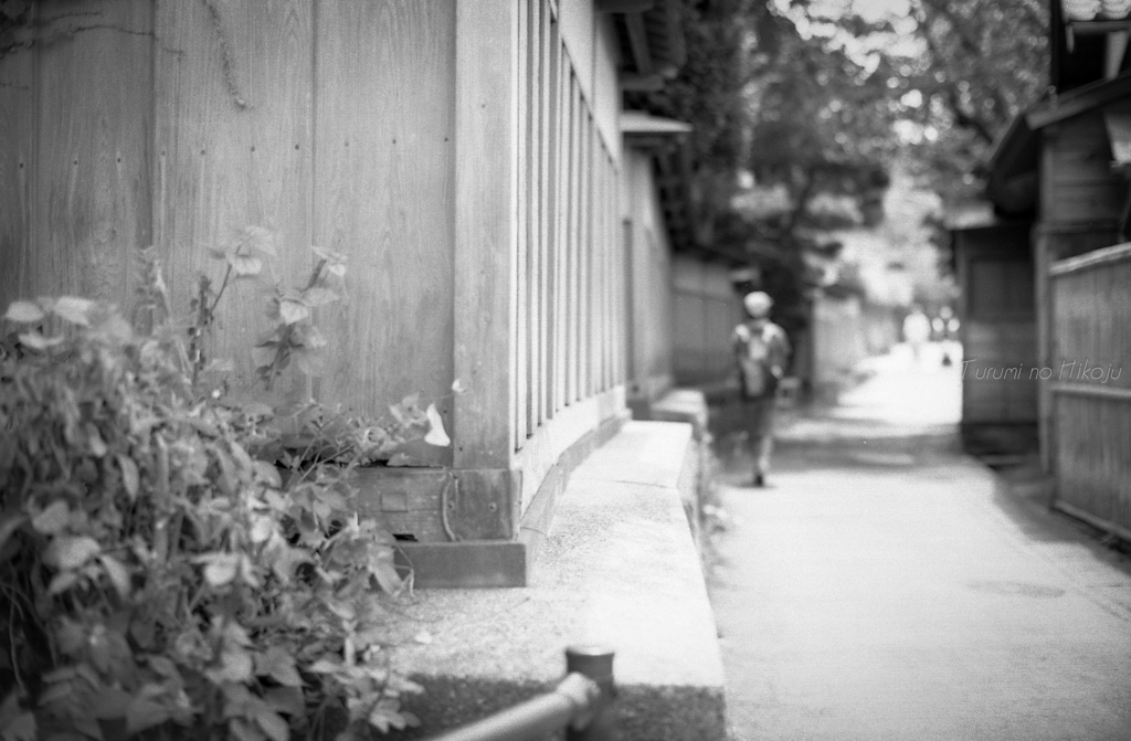 瑞泉寺への路