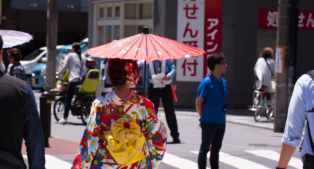 姫　神輿見物す