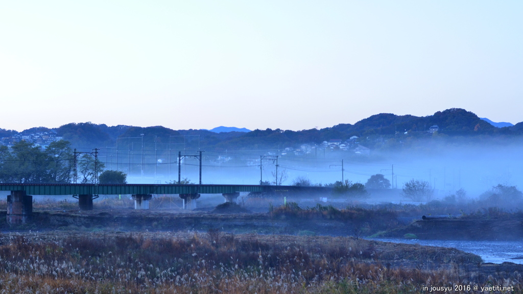 朝霧