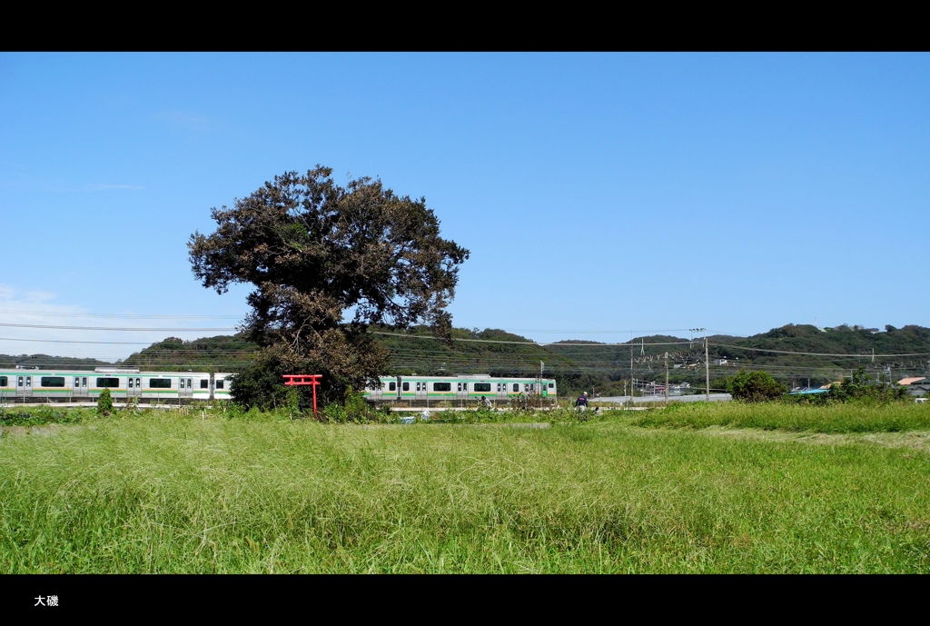 鎮守様と秋の空