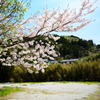 里山は春